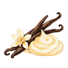 Creamy Vanilla