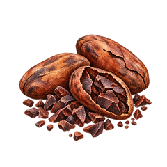 Cacao Nibs